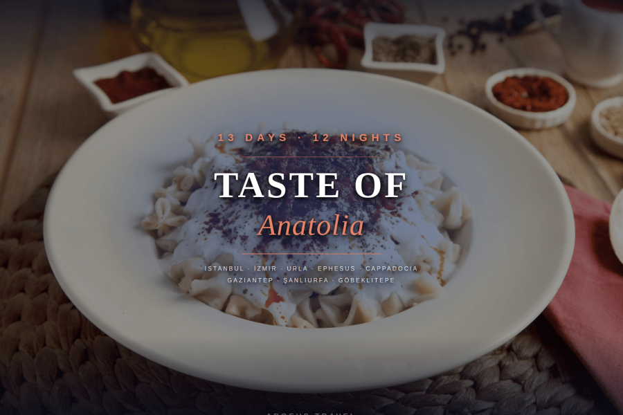 argeus special tour 3 (1)